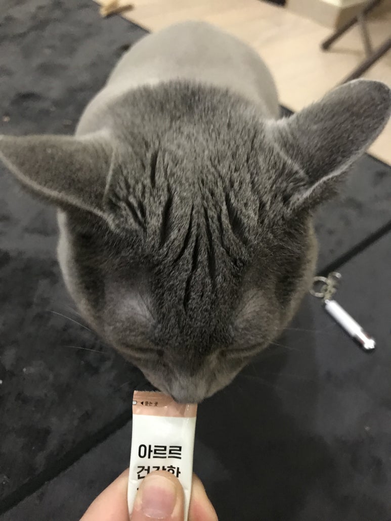 아르르(Arr) 이미지