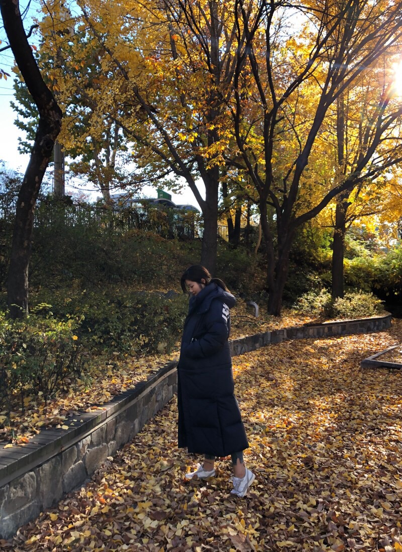 꼬끄롱 이미지