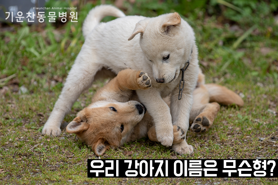 아란누리 이미지