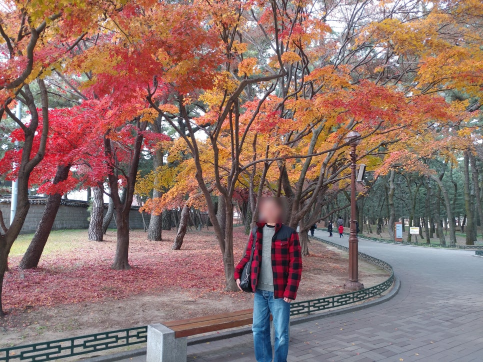 렌트투어주 이미지