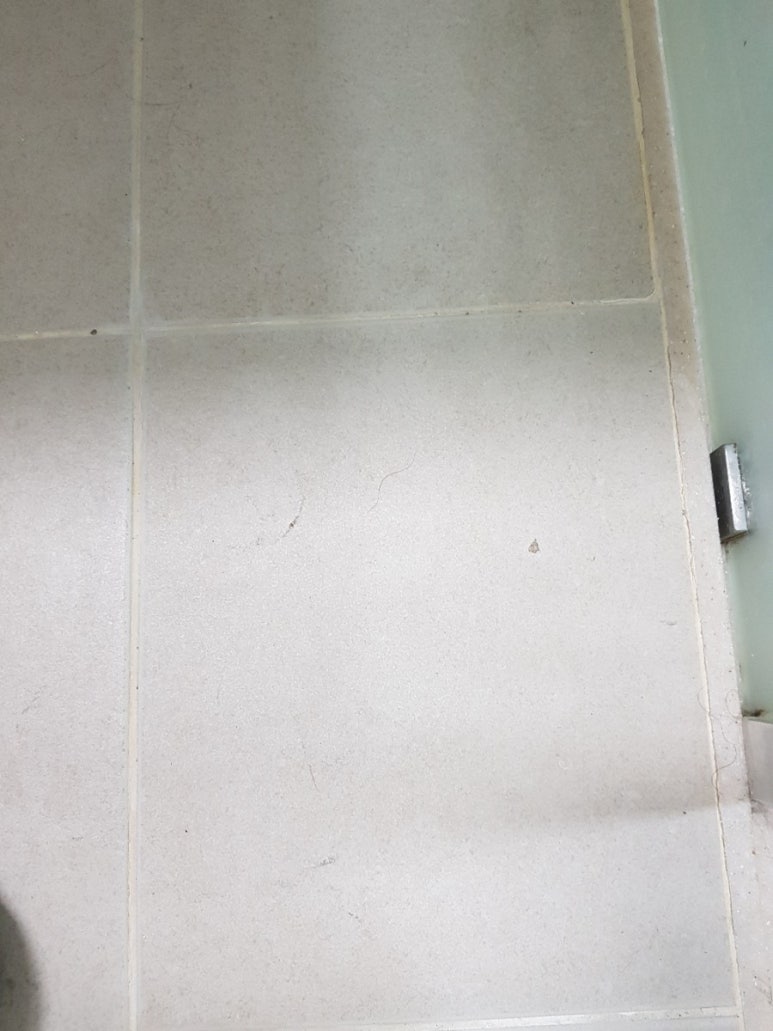 싱글벙글노래타운 이미지