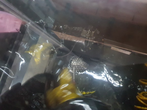 세종클리닝 이미지
