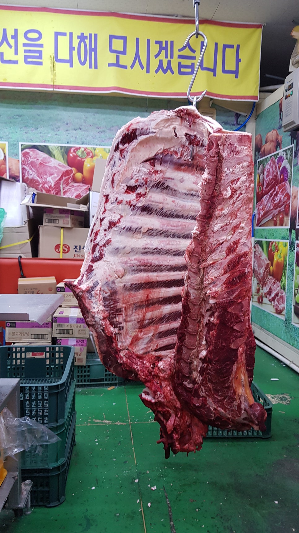 신축산도매 이미지