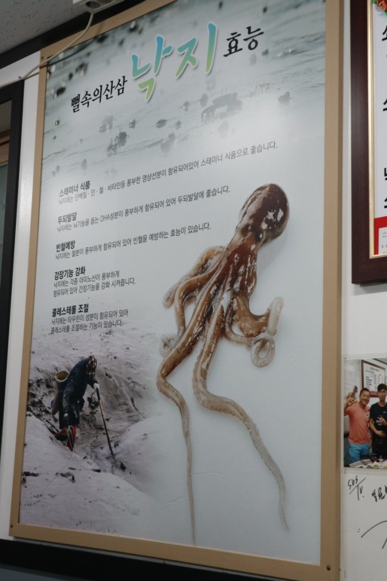 삼촌네탕탕이 이미지