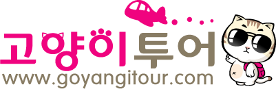 고양이투어 이미지