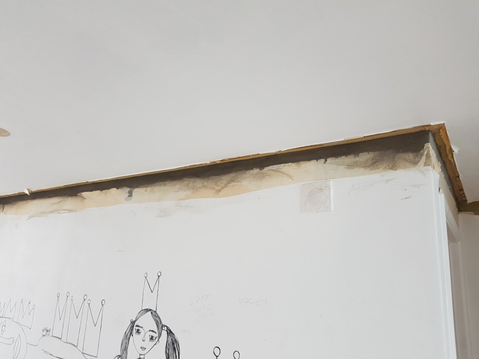 동부갈매기 이미지