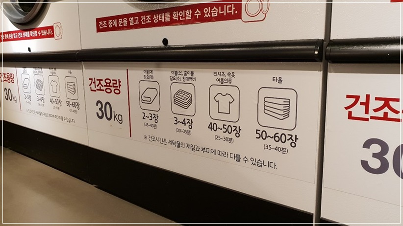 워시테리아 이미지
