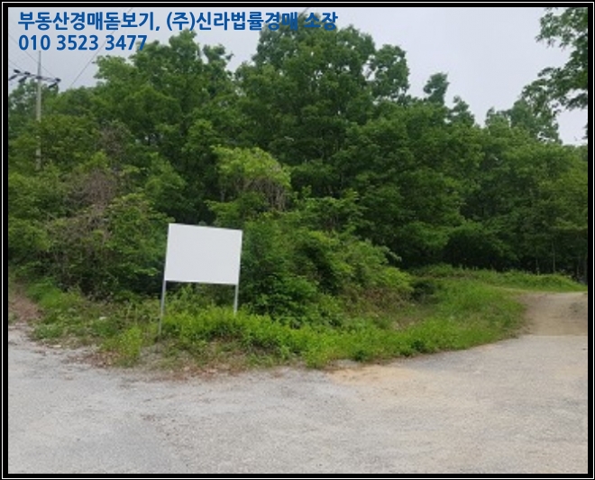 영오리 이미지
