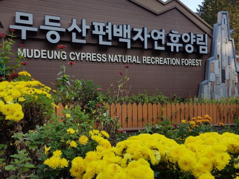 무등산편백자연휴양림 이미지
