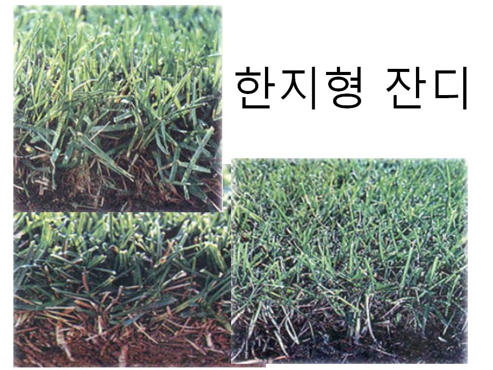 골프신지환 이미지