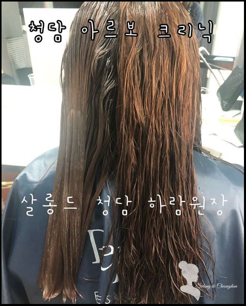 아르보헤어 이미지