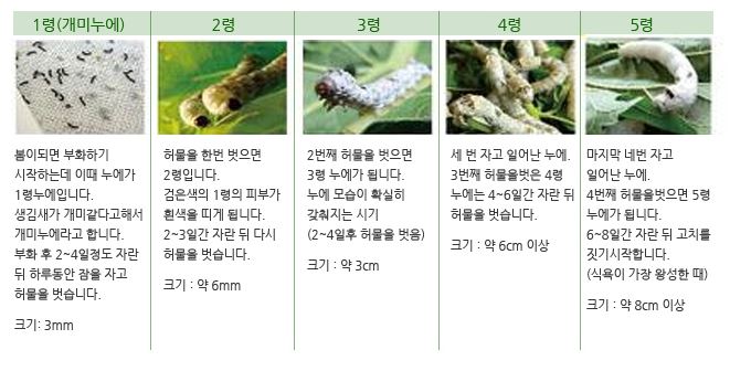 영천양잠협동조합 이미지