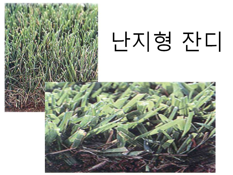 골프신지환 이미지