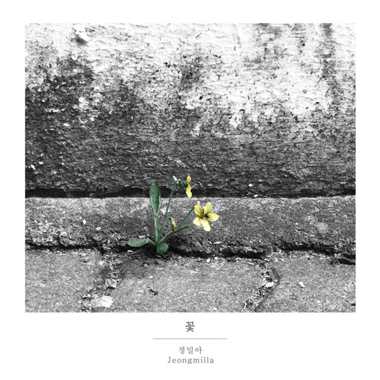은하수studio 이미지