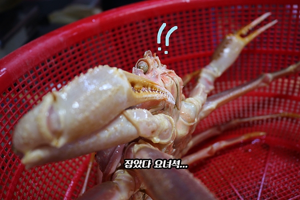 O.K수산 이미지
