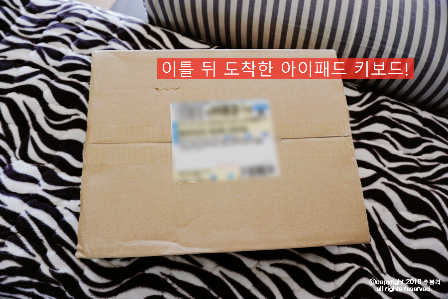 소셜써치 이미지
