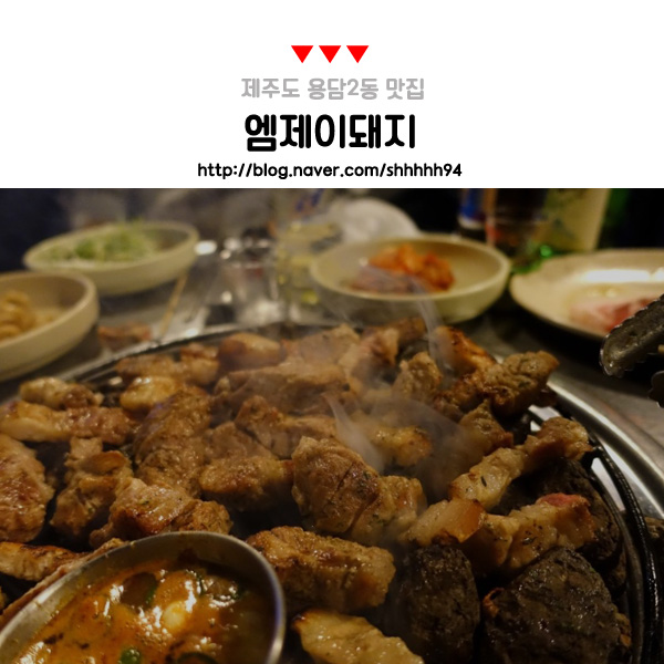 엠제이돼지 이미지