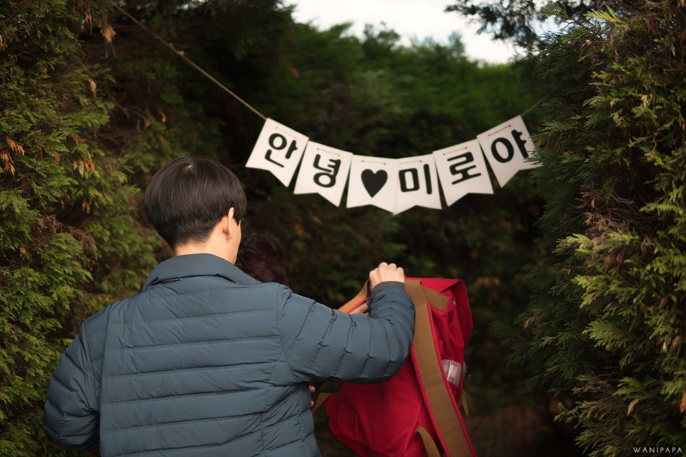 와니코스 이미지
