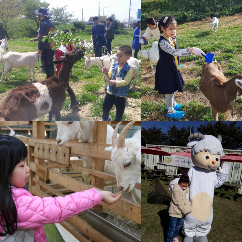 자연산양농장 이미지
