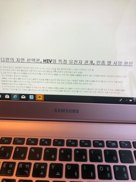 송천앤김밥 이미지