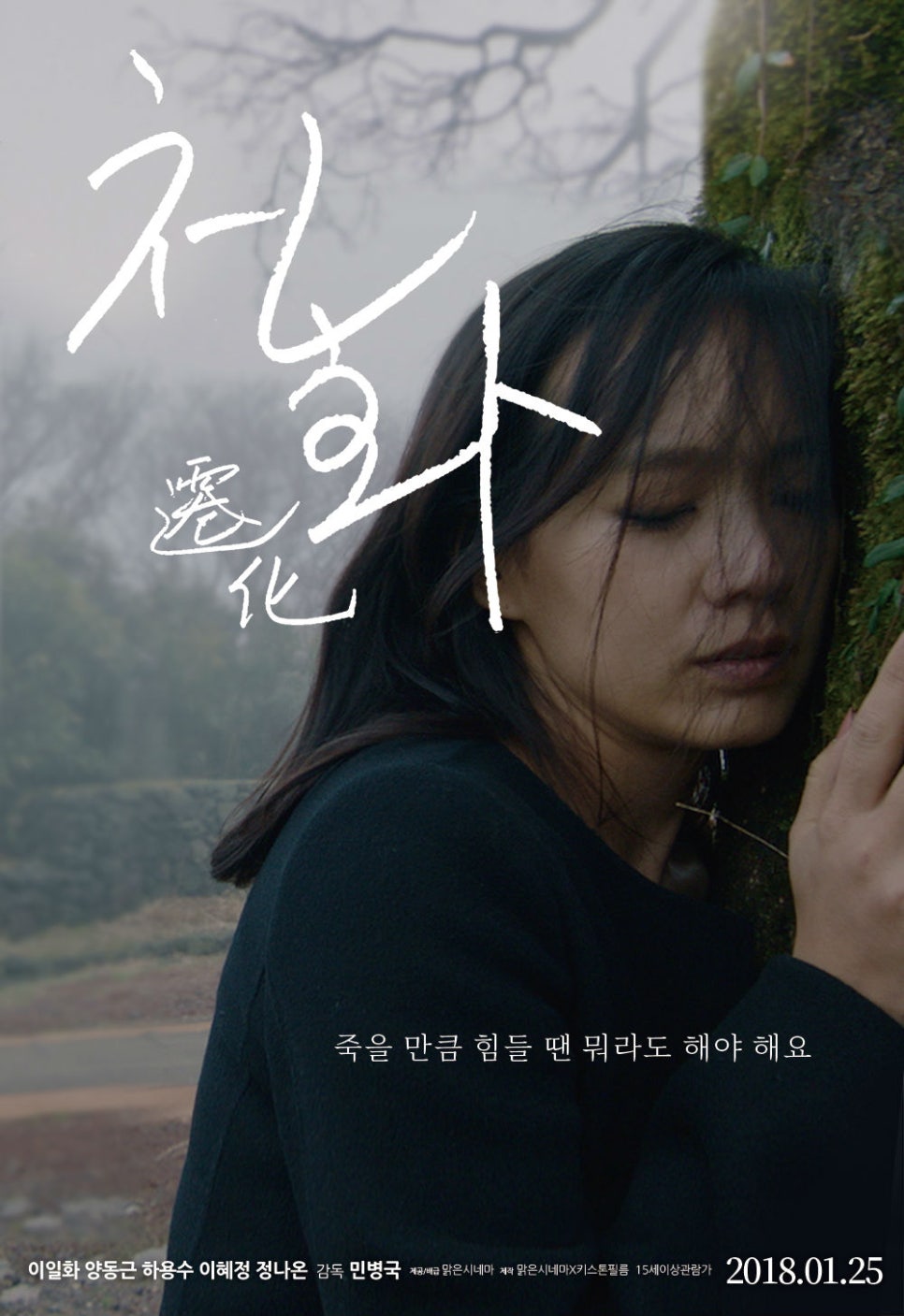 윈드웰러스 필름 이미지