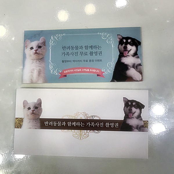 프로사진실 이미지