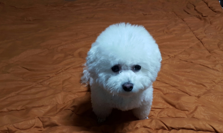 놀아줘 이미지