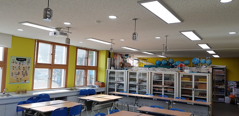 월성초등학교 이미지