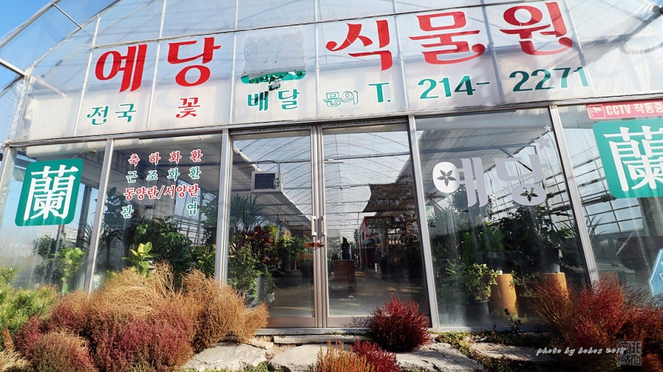 예당화원 이미지