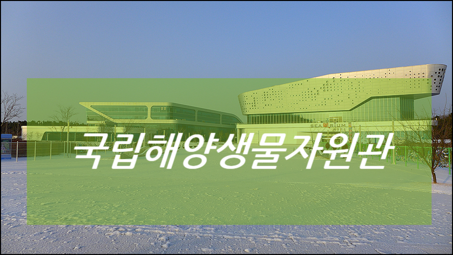 동서천농협파머스마켓 이미지