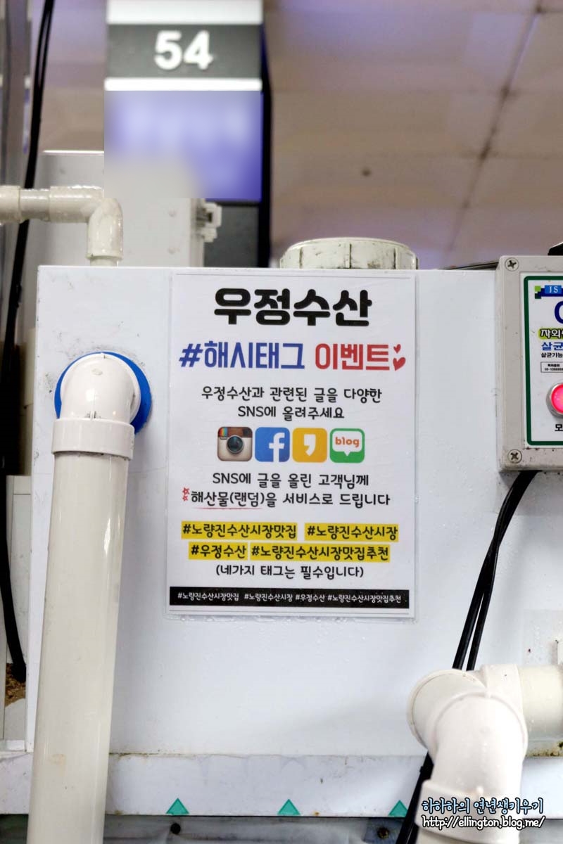 우정수선 이미지