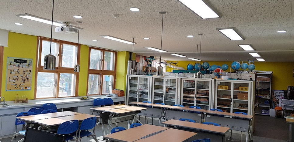 월성초등학교 이미지