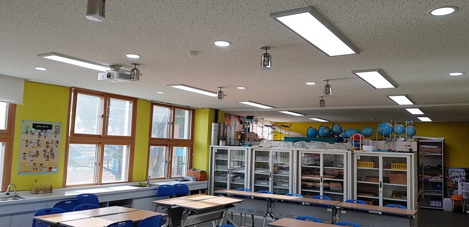 월성초등학교 이미지