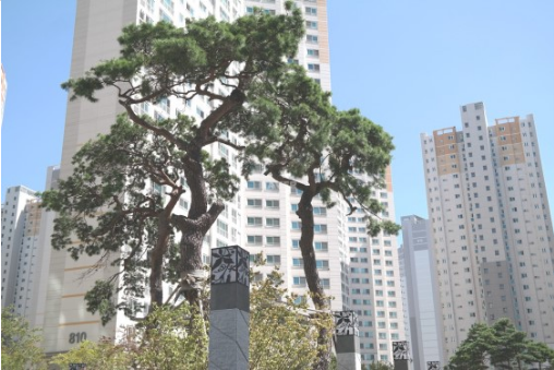 (주)오케이건설 이미지