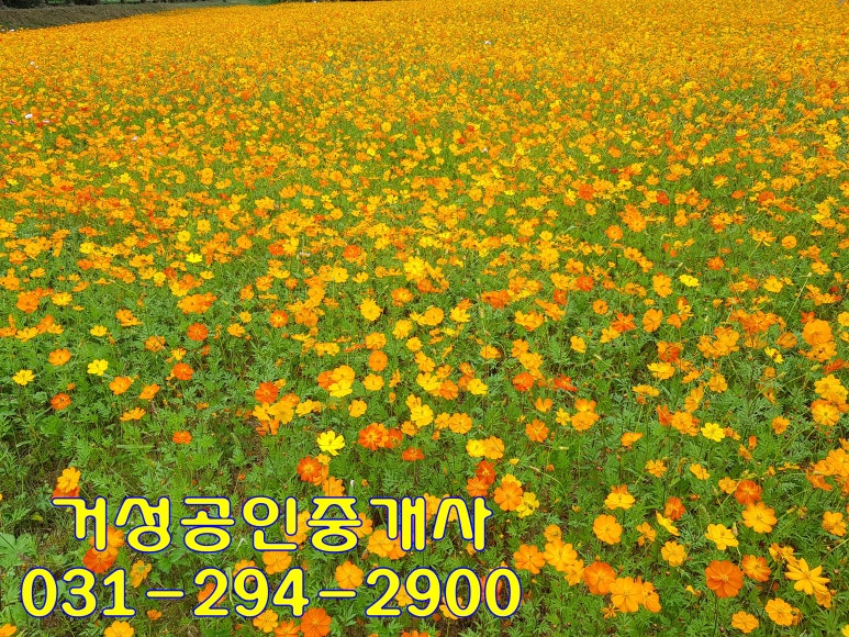 남문모텔 이미지