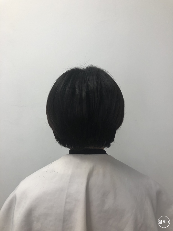 드라포레 이미지
