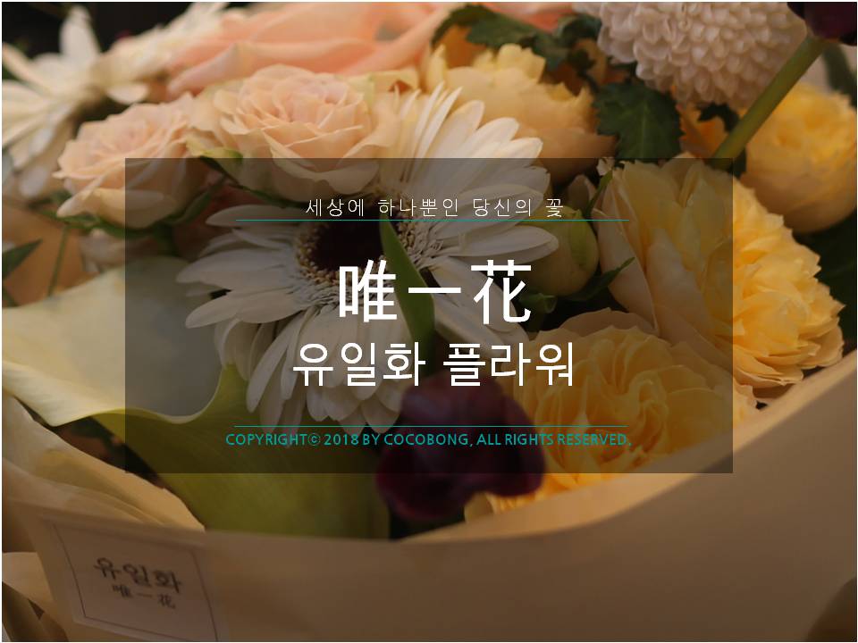 유일화 이미지