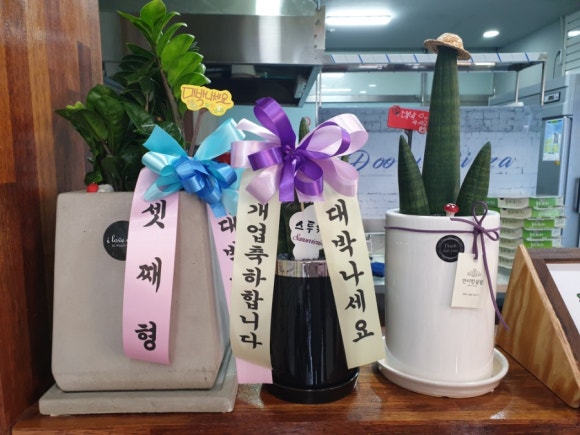 둘리피자 이미지