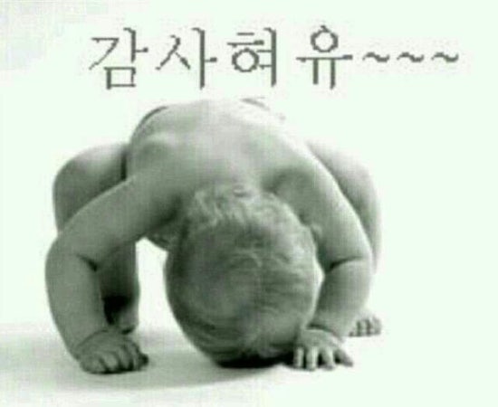 호떡집에불났다 이미지