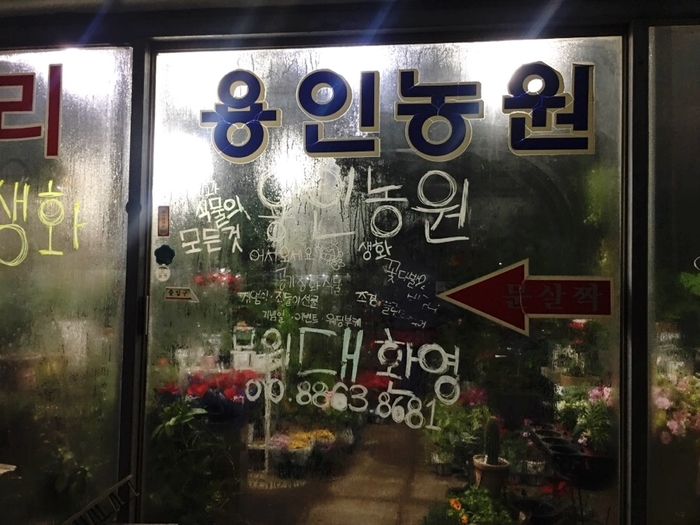 백운화원 이미지