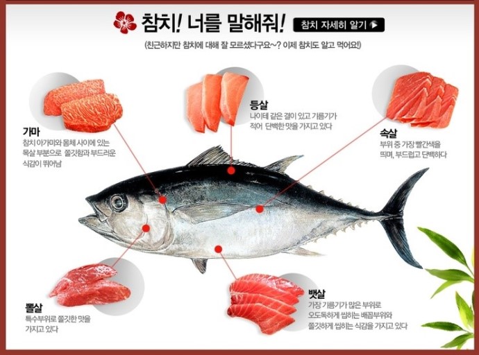 화정참치 이미지