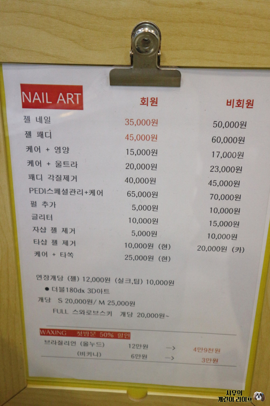 네일셀리나 이미지