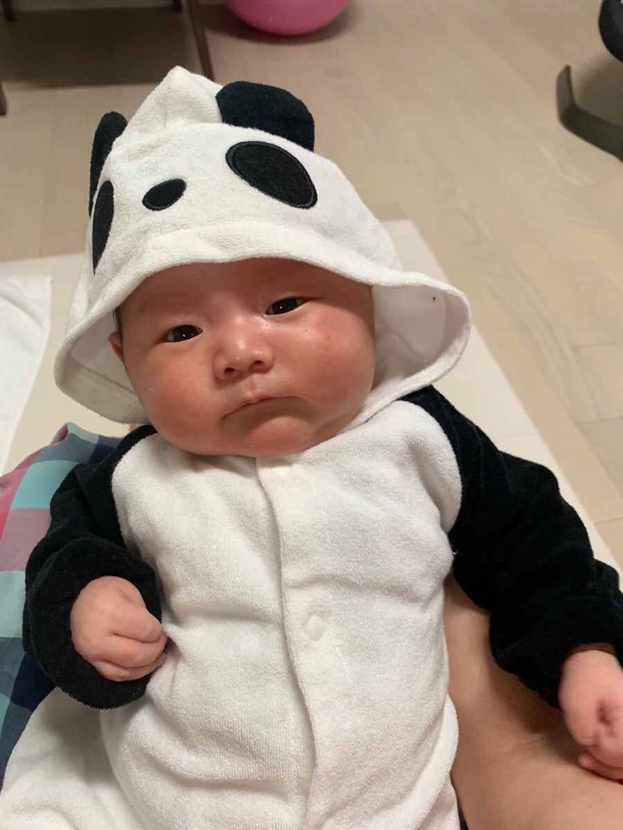판다이소 이미지