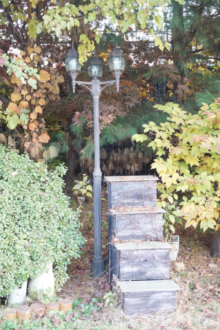 스튜디오라자 이미지