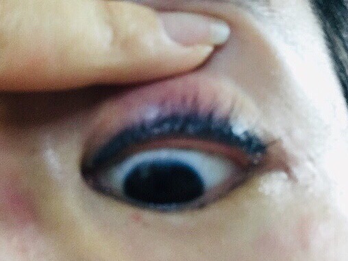 신디코리아 이미지