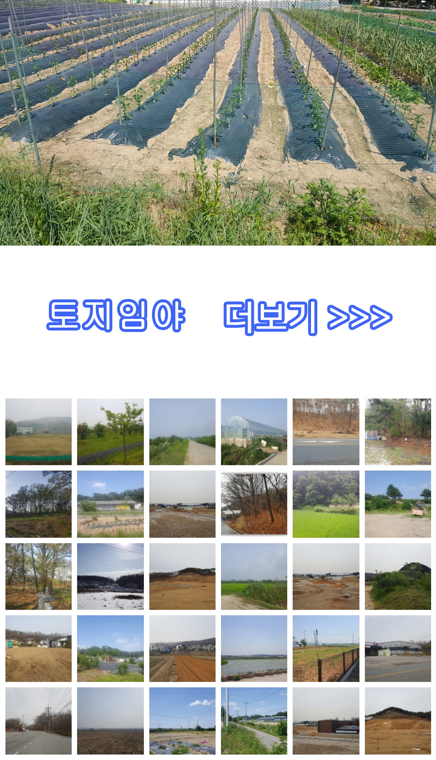 조은건축사사무소 이미지