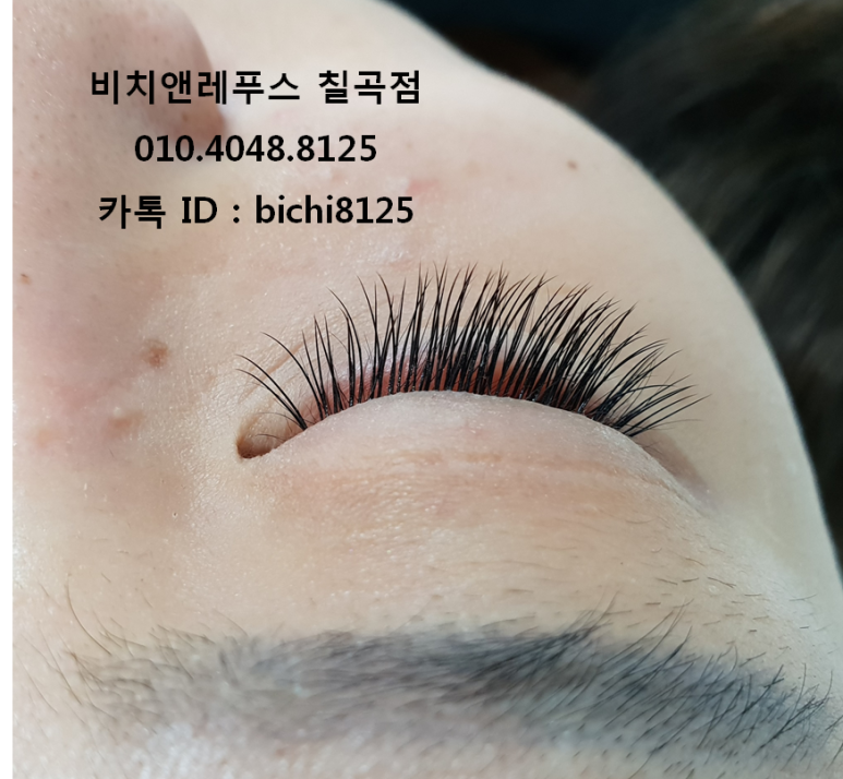 비치앤레푸스 이미지