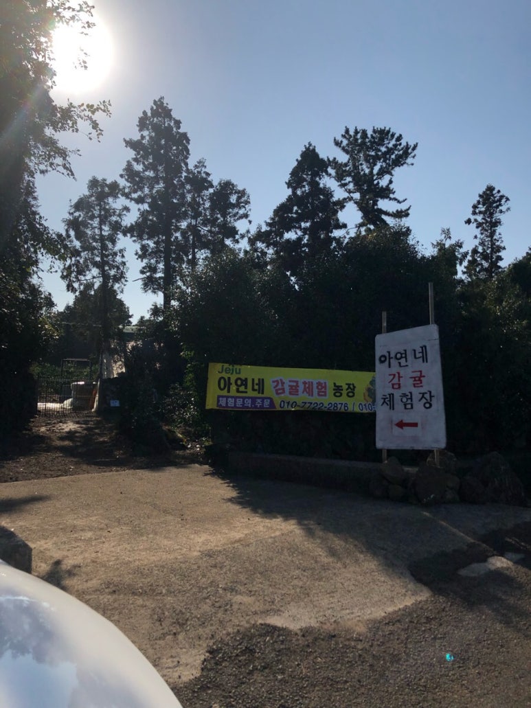 아연네감귤체험농장 이미지