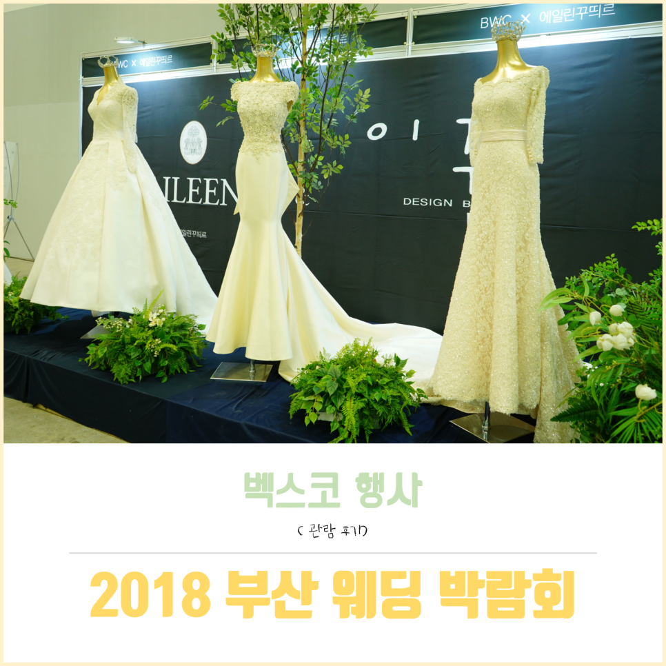 비더블류씨 이미지