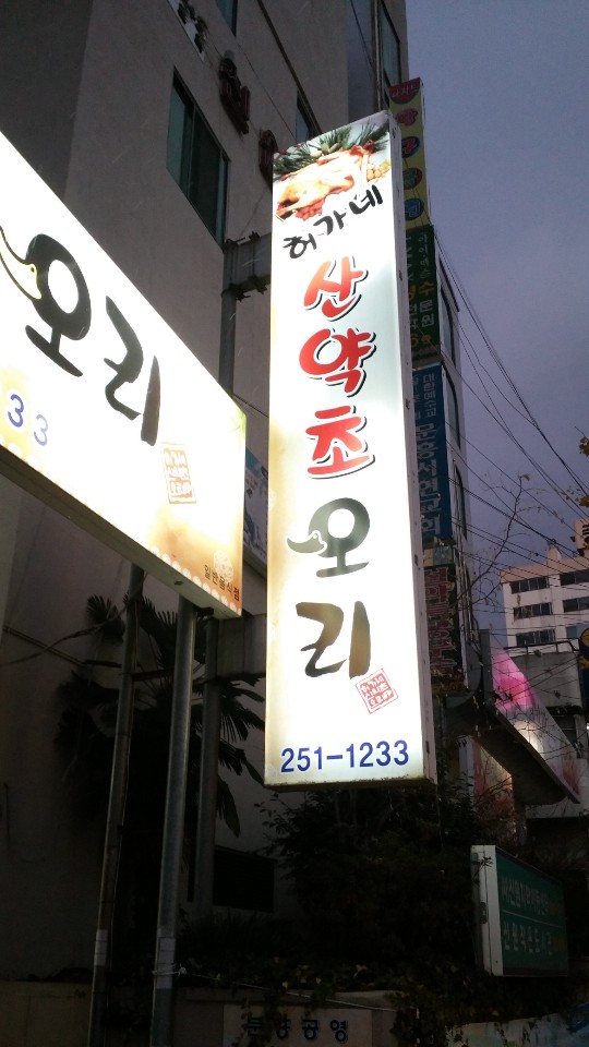 허가네산약초오리 이미지
